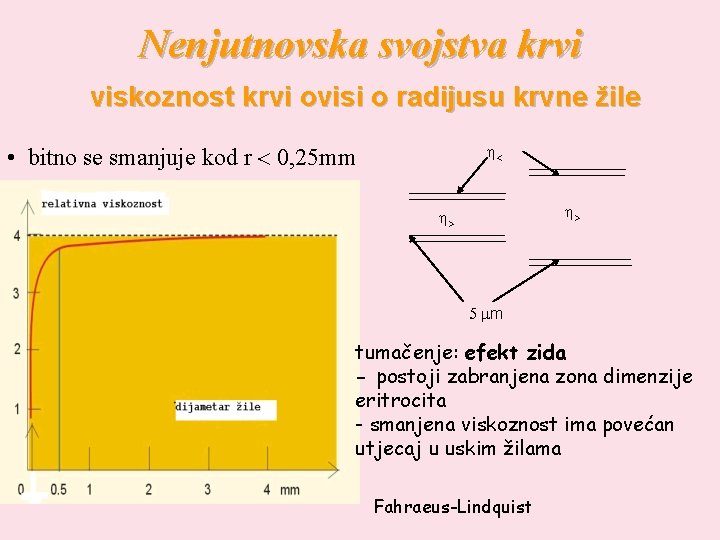 Nenjutnovska svojstva krvi viskoznost krvi ovisi o radijusu krvne žile • bitno se smanjuje