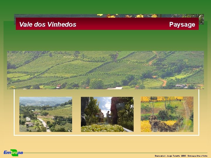 Vale dos Vinhedos Paysage Elaboration : Jorge Tonietto, 2005 - Embrapa Uva e Vinho