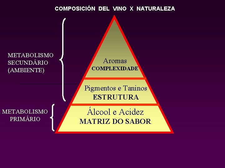 COMPOSICIÓN DEL VINO X NATURALEZA METABOLISMO SECUNDÁRIO (AMBIENTE) Aromas COMPLEXIDADE VOLUME Pigmentos e Taninos