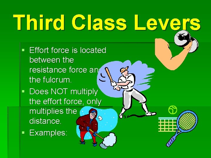 Third Class Levers § Effort force is located between the resistance force and the