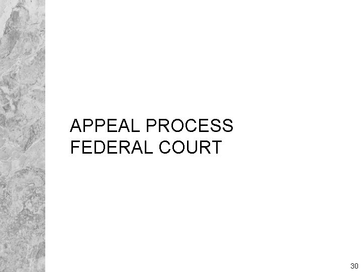 APPEAL PROCESS FEDERAL COURT 30 