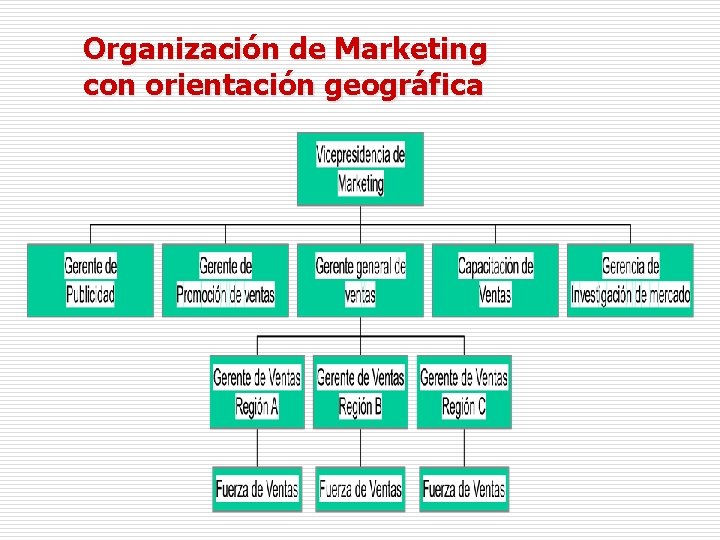 Organización de Marketing con orientación geográfica 