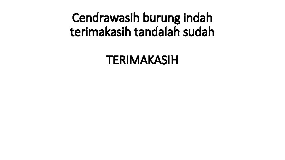 Cendrawasih burung indah terimakasih tandalah sudah TERIMAKASIH 