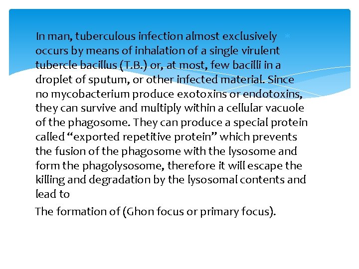 In man, tuberculous infection almost exclusively occurs by means of inhalation of a single