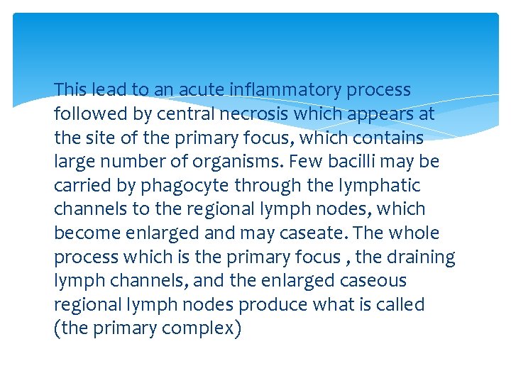 This lead to an acute inflammatory process followed by central necrosis which appears at