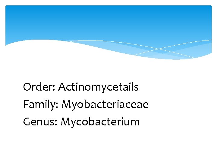 Order: Actinomycetails Family: Myobacteriaceae Genus: Mycobacterium 