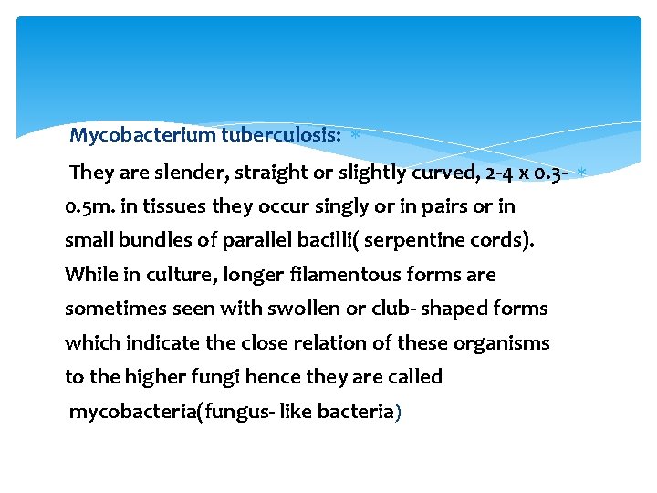 Mycobacterium tuberculosis: They are slender, straight or slightly curved, 2 -4 x 0. 3