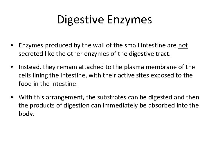 Digestive Enzymes • Enzymes produced by the wall of the small intestine are not