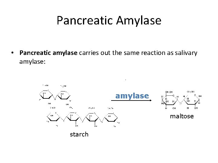 Pancreatic Amylase • Pancreatic amylase carries out the same reaction as salivary amylase: amylase
