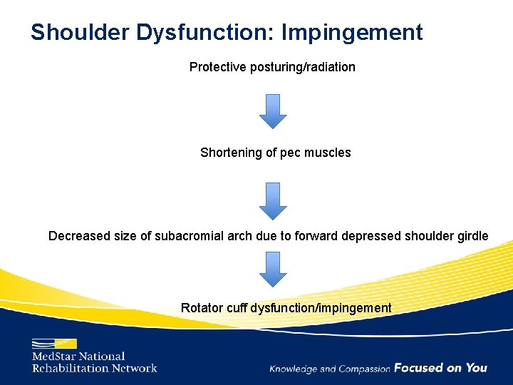 Shoulder Dysfunction: Impingement Protective posturing/radiation Shortening of pec muscles Decreased size of subacromial arch