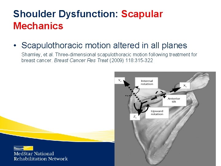 Shoulder Dysfunction: Scapular Mechanics • Scapulothoracic motion altered in all planes Shamley, et al.