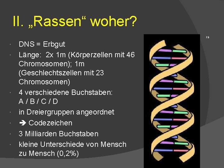 II. „Rassen“ woher? FB DNS = Erbgut Länge: 2 x 1 m (Körperzellen mit