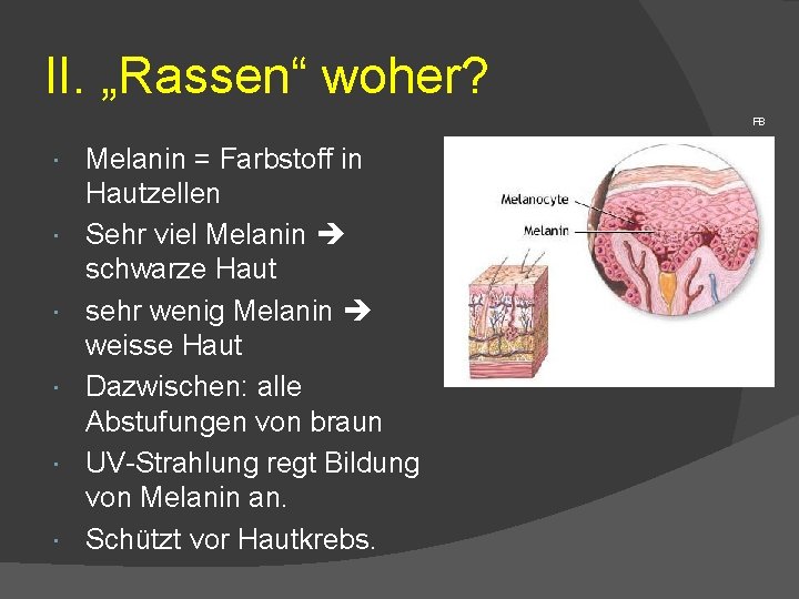 II. „Rassen“ woher? FB Melanin = Farbstoff in Hautzellen Sehr viel Melanin schwarze Haut