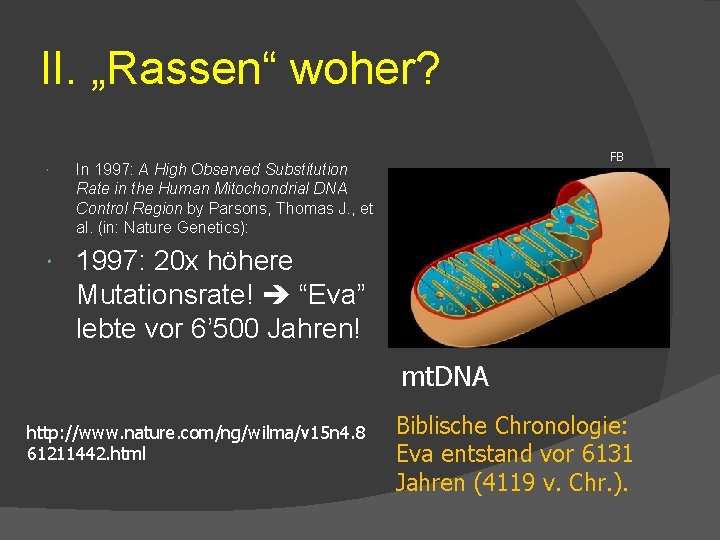 II. „Rassen“ woher? In 1997: A High Observed Substitution Rate in the Human Mitochondrial