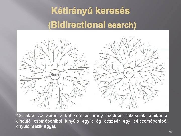 Kétirányú keresés (Bidirectional search) 2. 9. ábra: Az ábrán a két keresési irány majdnem