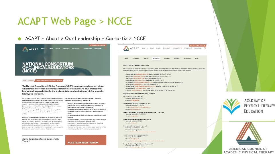 ACAPT Web Page > NCCE ACAPT > About > Our Leadership > Consortia >