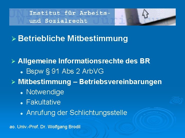 Ø Betriebliche Mitbestimmung Allgemeine Informationsrechte des BR l Bspw § 91 Abs 2 Arb.