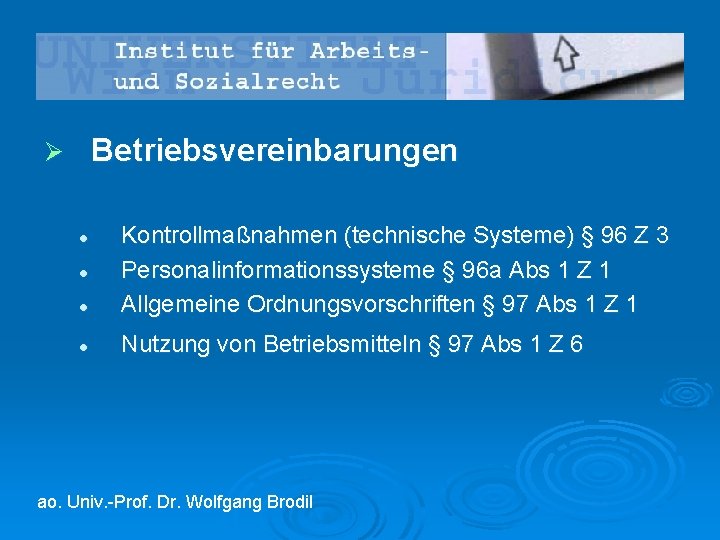 Betriebsvereinbarungen Ø l Kontrollmaßnahmen (technische Systeme) § 96 Z 3 Personalinformationssysteme § 96 a
