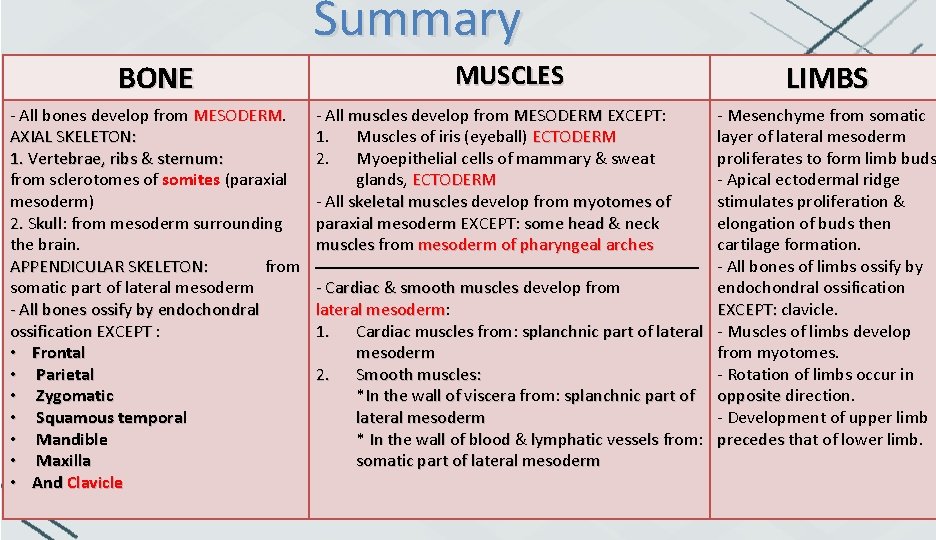 Summary BONE MUSCLES LIMBS - All bones develop from MESODERM AXIAL SKELETON: 1. Vertebrae,