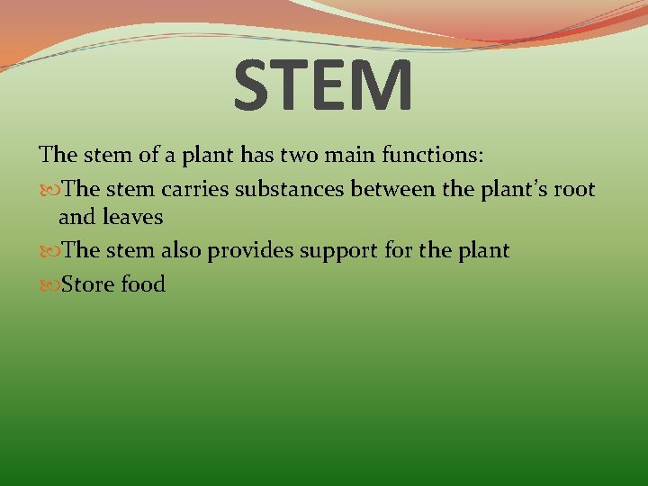 STEM The stem of a plant has two main functions: The stem carries substances