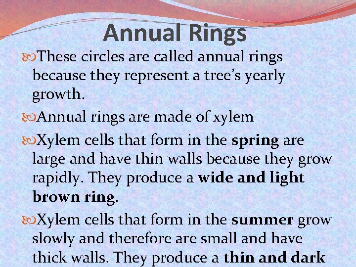 Annual Rings These circles are called annual rings because they represent a tree’s yearly