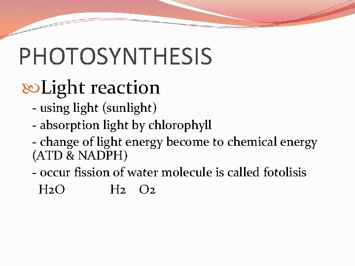 PHOTOSYNTHESIS Light reaction - using light (sunlight) - absorption light by chlorophyll - change