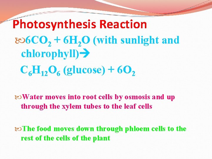 Photosynthesis Reaction 6 CO 2 + 6 H 2 O (with sunlight and chlorophyll)