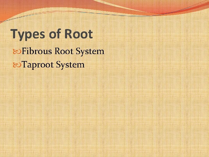 Types of Root Fibrous Root System Taproot System 