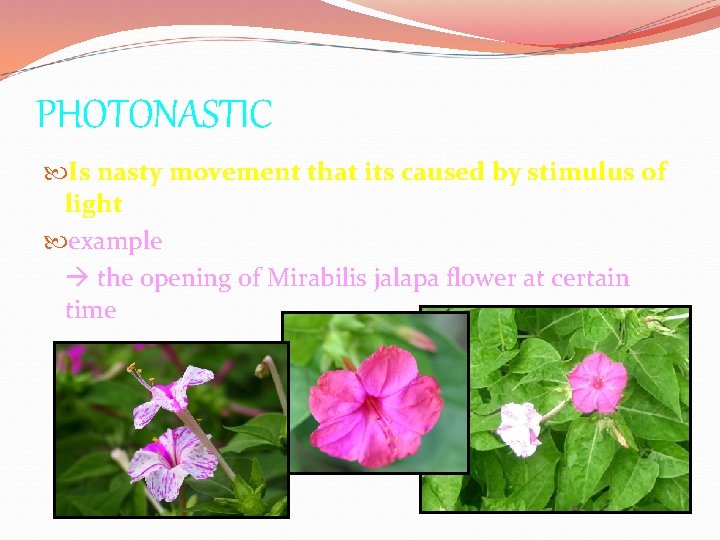 PHOTONASTIC Is nasty movement that its caused by stimulus of light example the opening