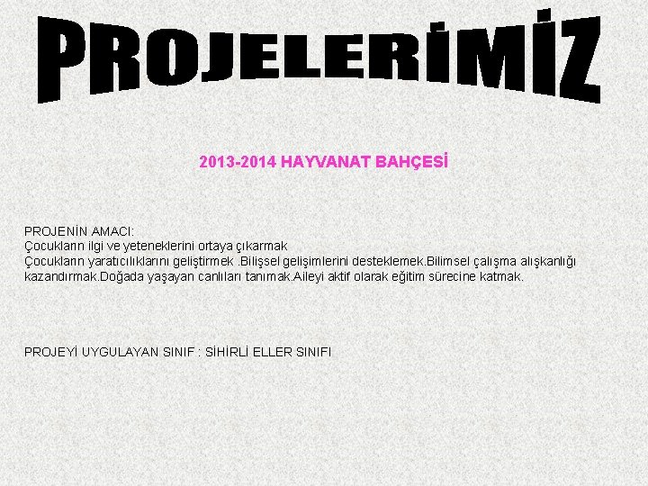 2013 -2014 HAYVANAT BAHÇESİ PROJENİN AMACI: Çocukların ilgi ve yeteneklerini ortaya çıkarmak Çocukların yaratıcılıklarını