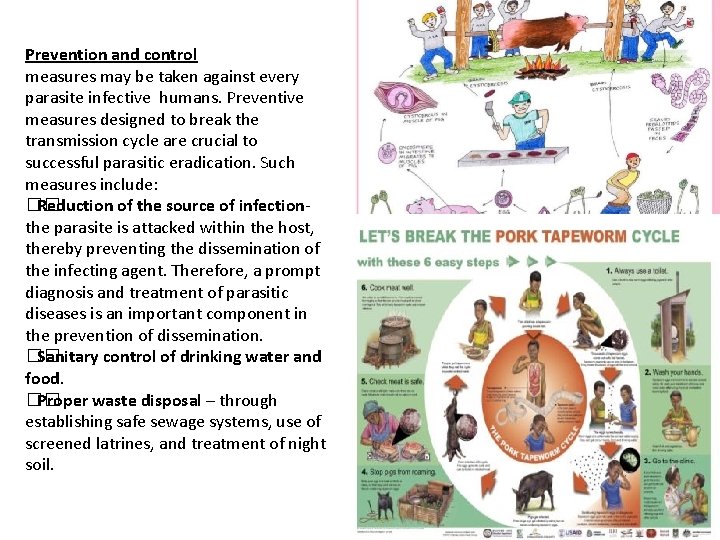  Prevention and control measures may be taken against every parasite infective humans. Preventive