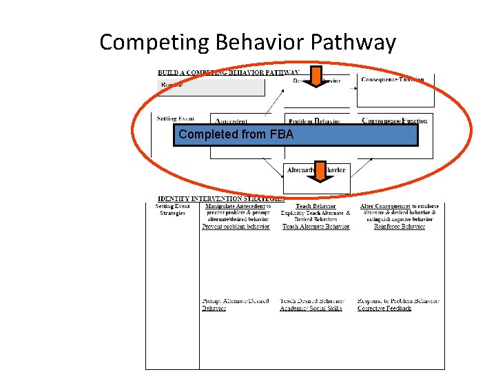 Competing Behavior Pathway Completed from FBA 