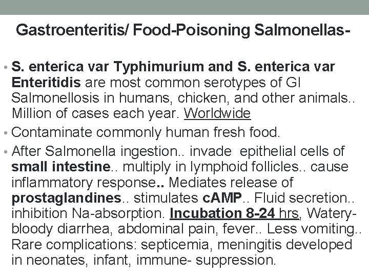 Gastroenteritis/ Food-Poisoning Salmonellas • S. enterica var Typhimurium and S. enterica var Enteritidis are