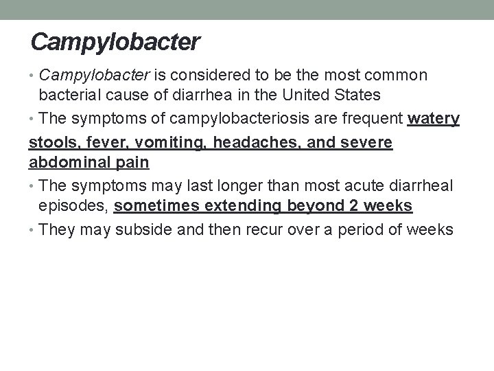 Campylobacter • Campylobacter is considered to be the most common bacterial cause of diarrhea