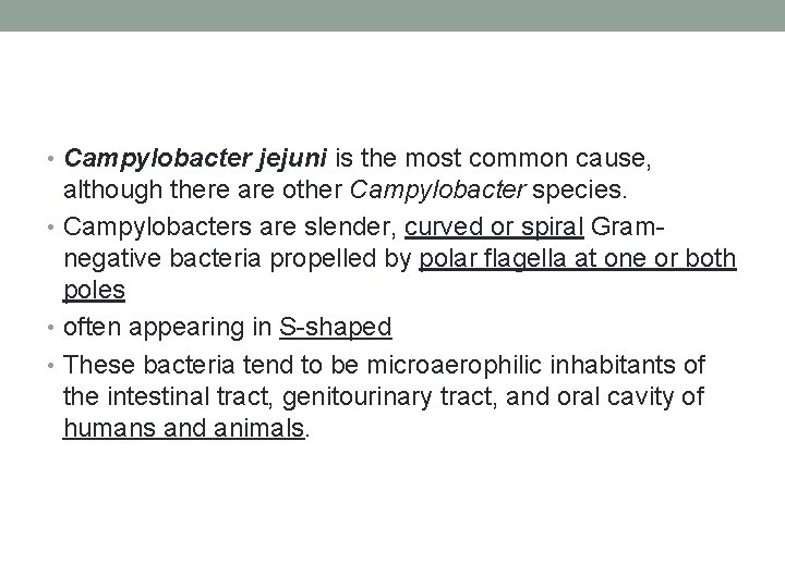  • Campylobacter jejuni is the most common cause, although there are other Campylobacter