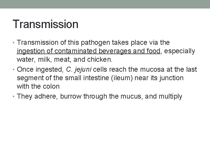 Transmission • Transmission of this pathogen takes place via the ingestion of contaminated beverages