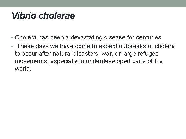 Vibrio cholerae • Cholera has been a devastating disease for centuries • These days