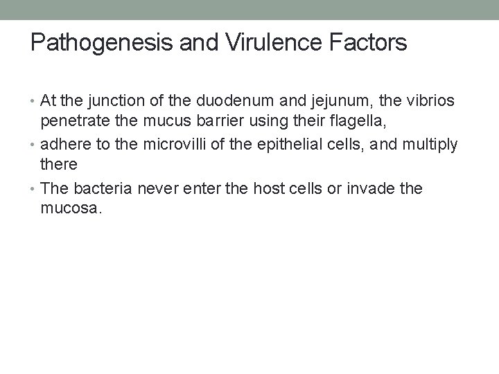Pathogenesis and Virulence Factors • At the junction of the duodenum and jejunum, the