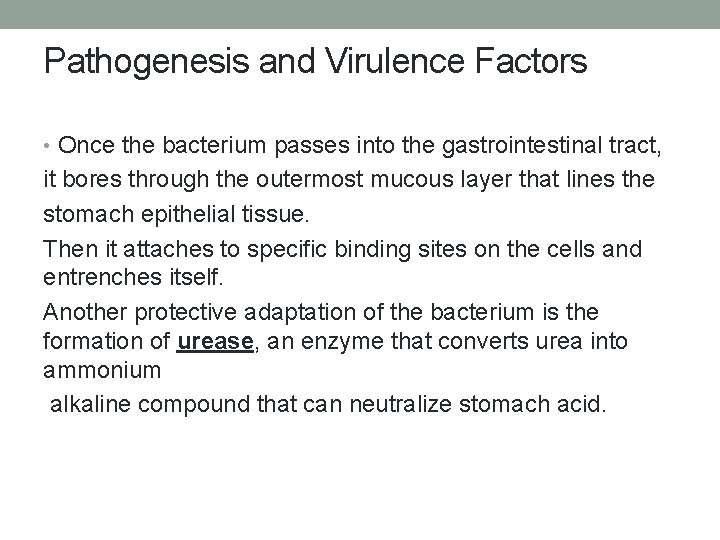 Pathogenesis and Virulence Factors • Once the bacterium passes into the gastrointestinal tract, it