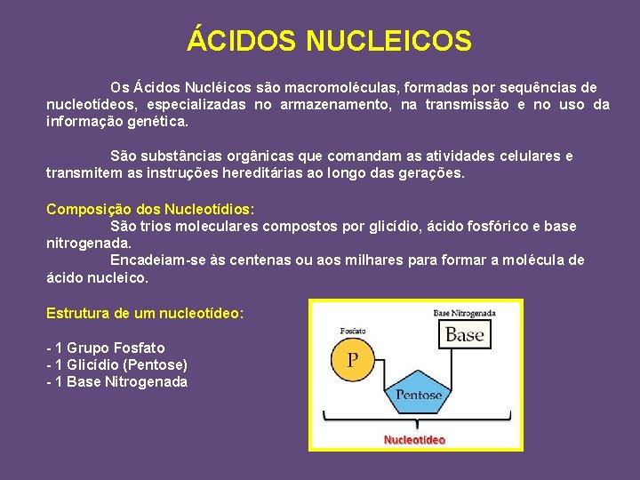 ÁCIDOS NUCLEICOS Os Ácidos Nucléicos são macromoléculas, formadas por sequências de nucleotídeos, especializadas no