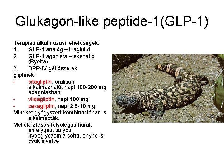 Glukagon-like peptide-1(GLP-1) Terápiás alkalmazási lehetőségek: 1. GLP-1 analóg – liraglutid 2. GLP-1 agonista –