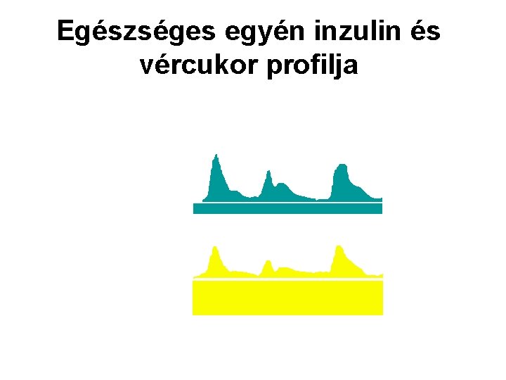 Egészséges egyén inzulin és vércukor profilja eli g g 75 Inzulin (µE/ml) Re E