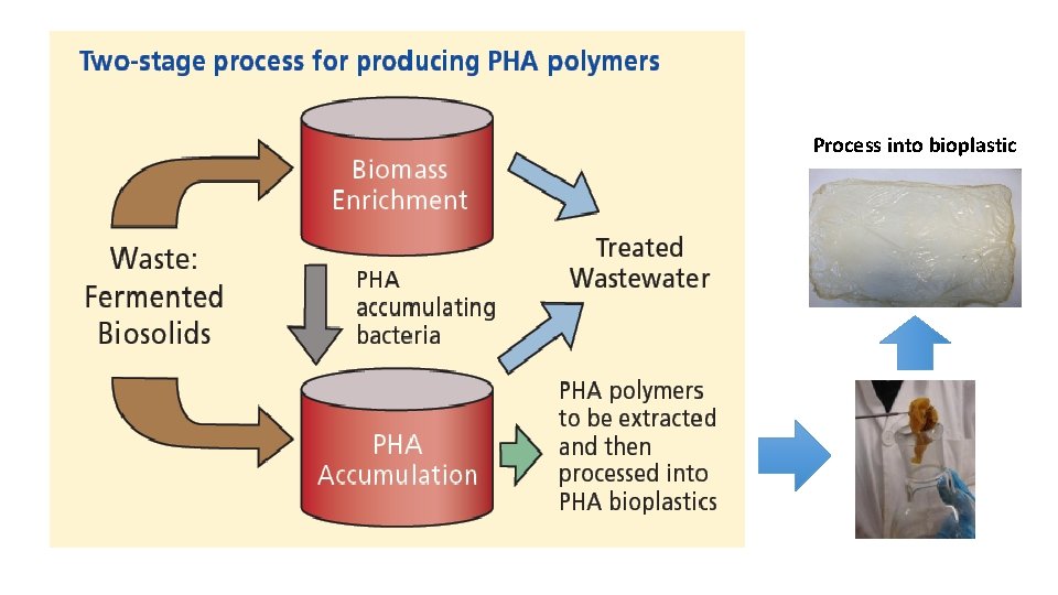 Process into bioplastic 