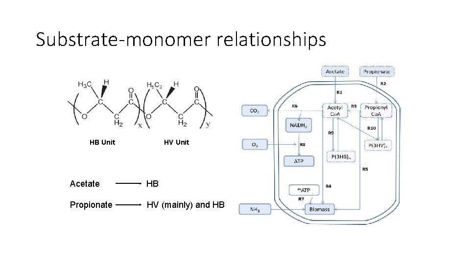 Substrate-monomer relationships HB Unit HV Unit Acetate HB Propionate HV (mainly) and HB 