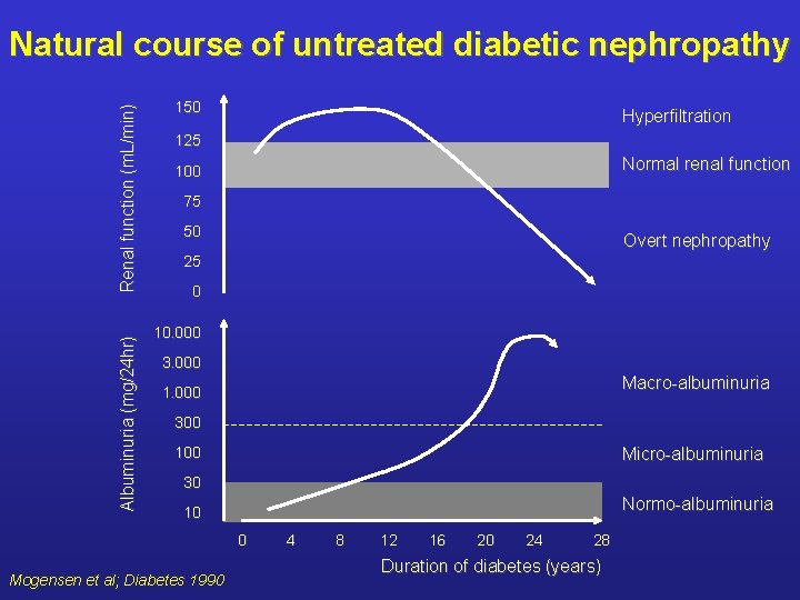 Albuminuria (mg/24 hr) Renal function (m. L/min) Natural course of untreated diabetic nephropathy 150
