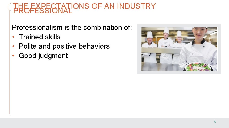 THE EXPECTATIONS OF AN INDUSTRY PROFESSIONAL Professionalism is the combination of: • Trained skills