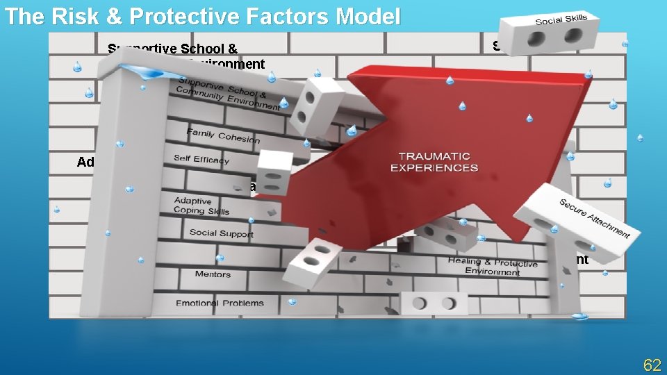 The Risk & Protective Factors Model Social Skills Supportive School & Community Environment Family