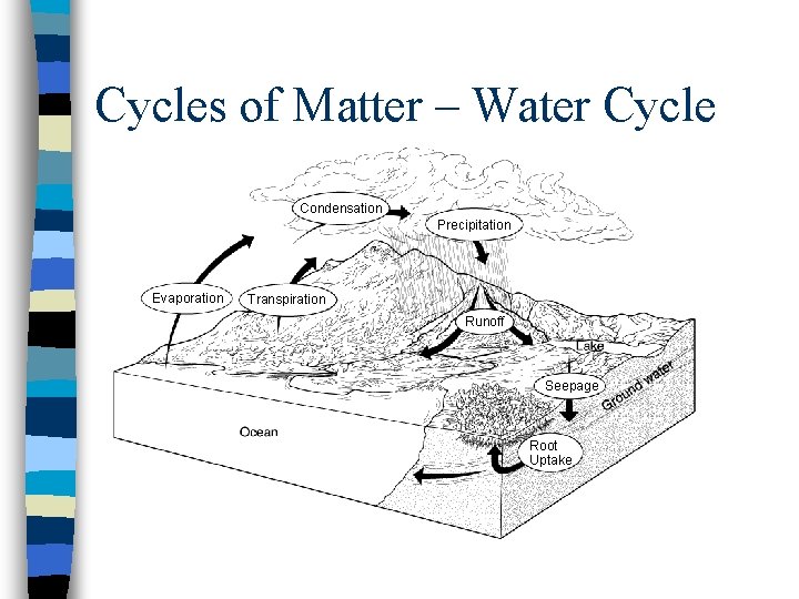 Cycles of Matter – Water Cycle Condensation Precipitation Evaporation Transpiration Runoff Seepage Root Uptake