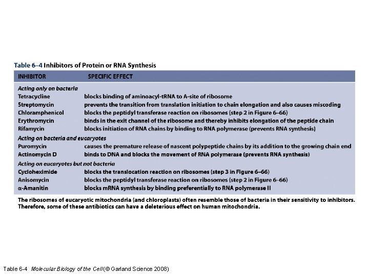 Table 6 -4 Molecular Biology of the Cell (© Garland Science 2008) 