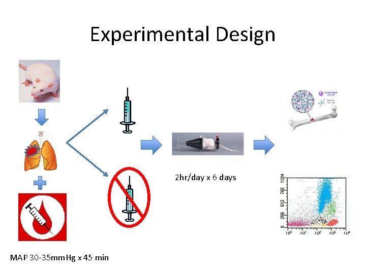 Experimental Design 2 hr/day x 6 days MAP 30 -35 mm. Hg x 45